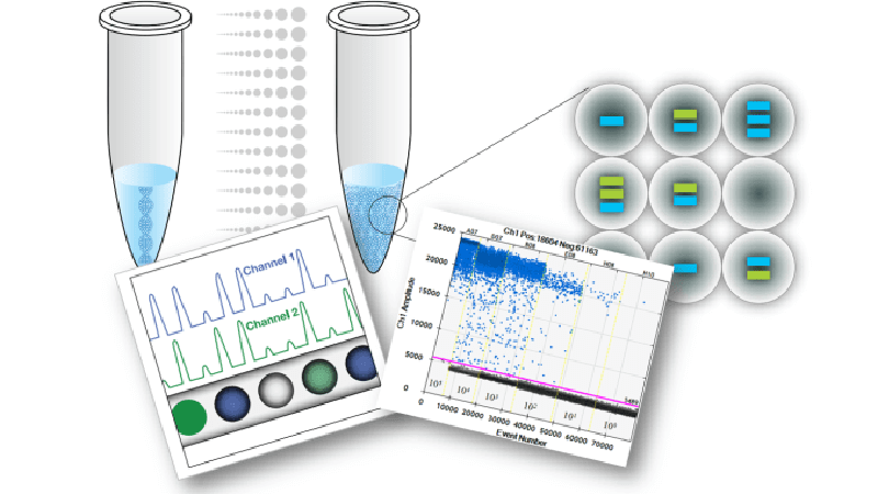 Nguyên lý máy PCR  hoạt động như thế nào?