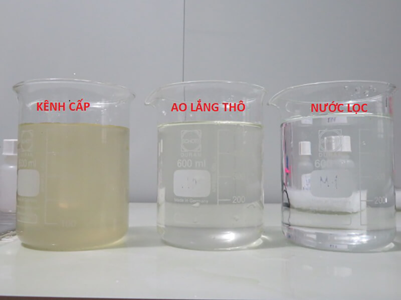 Hình ảnh màu nước của từng ao khi nuôi tôm trên cát