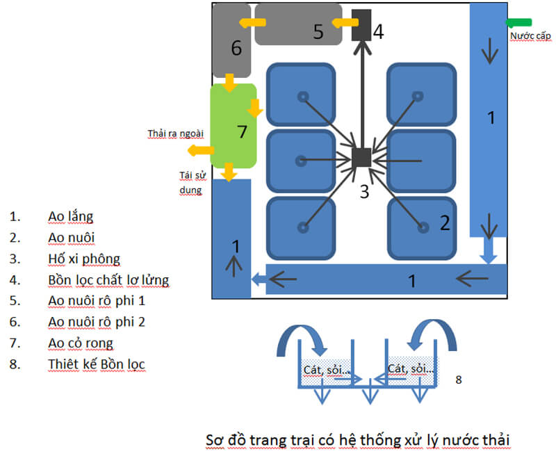 Xử lý nước thải nuôi tôm công nghiệp bằng cá rô phi