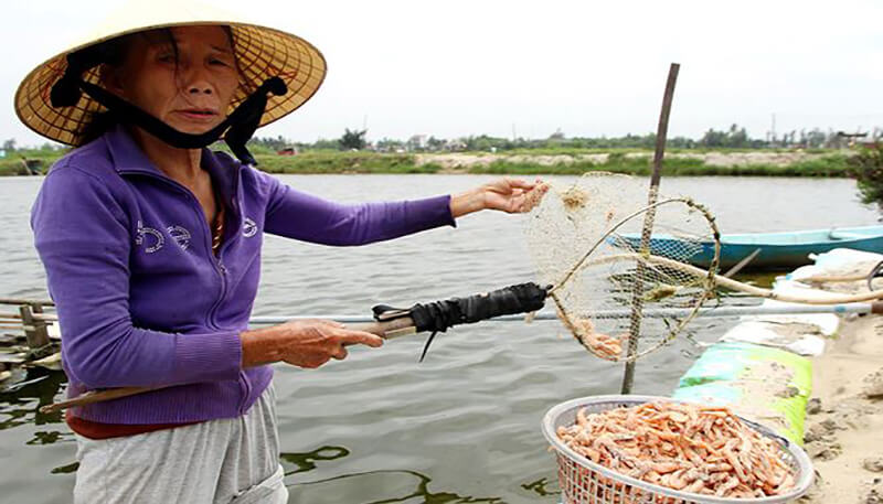 Hình ảnh tôm chết sau mưa lũ