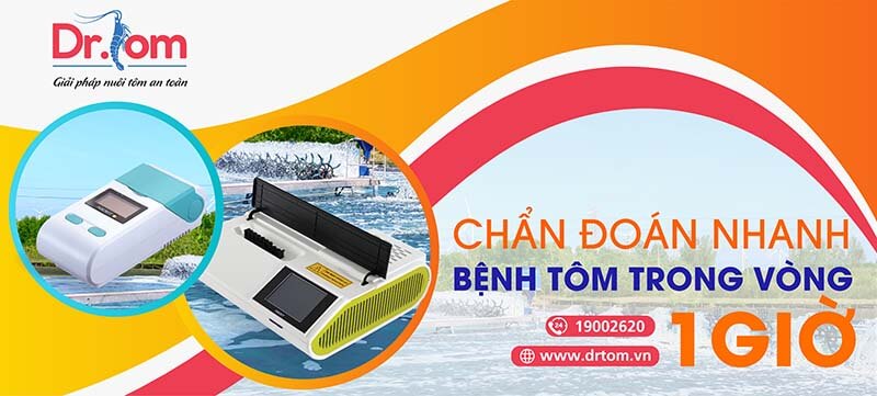 Dr.tom tham dự diễn đàn tôm Việt 2019