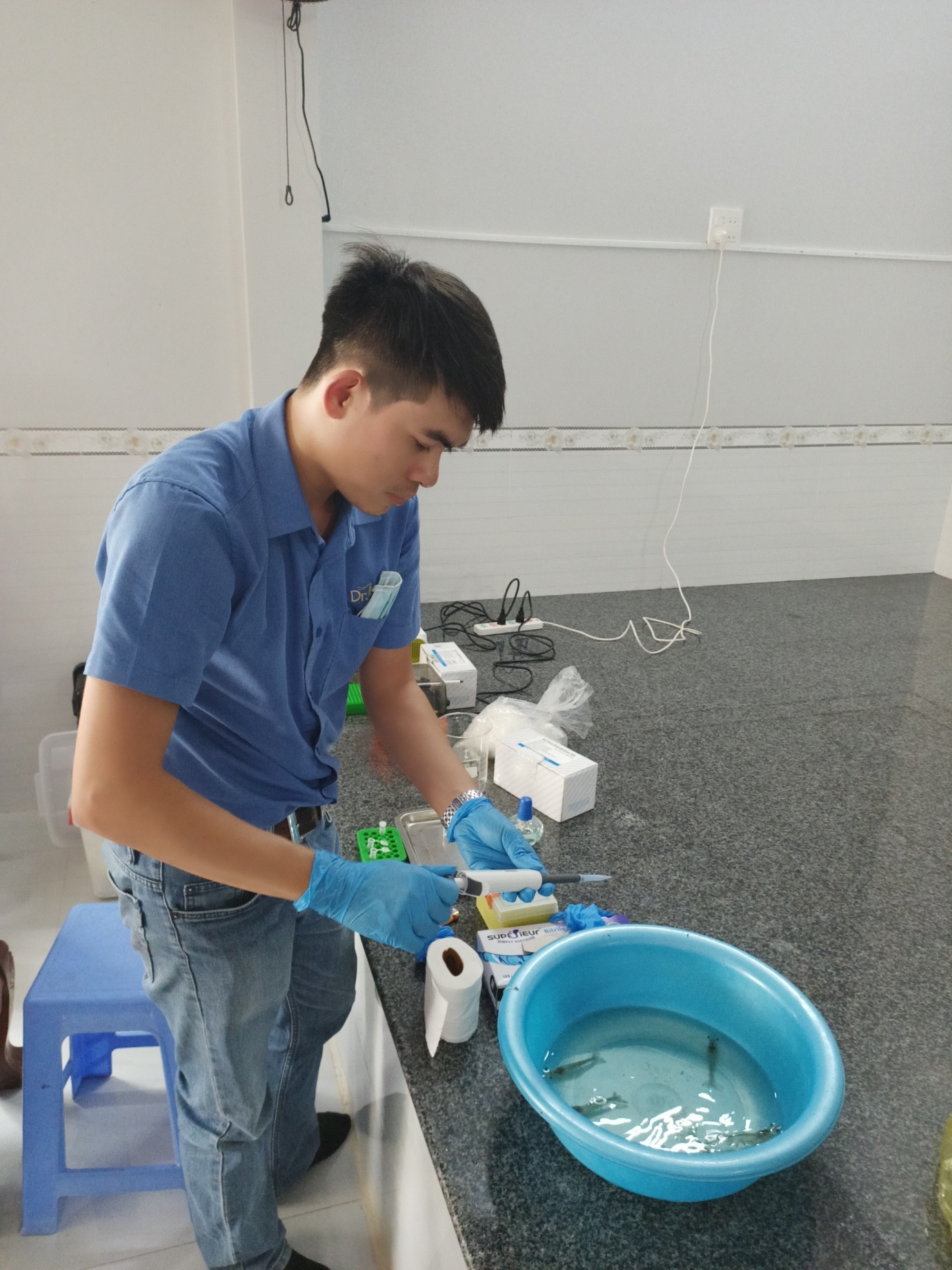 Chương trình hỗ trợ xét nghiệm bệnh tôm bằng máy PCR POCKIT 3